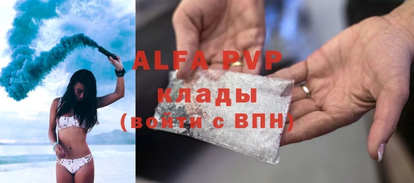 стафф Бородино