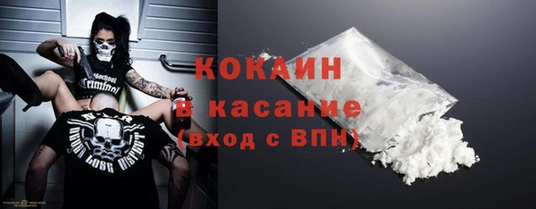 стафф Бородино