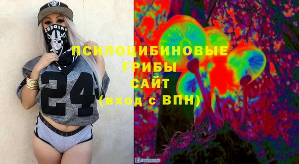 стафф Бородино