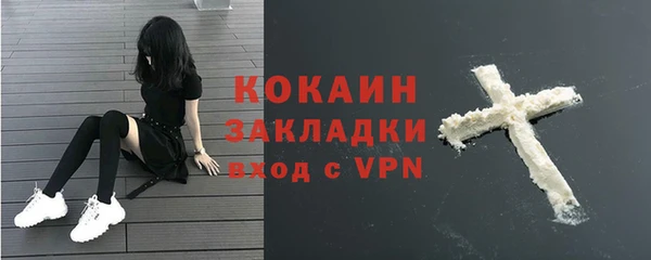 стафф Бородино