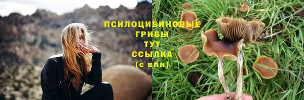 соль курить ск Бронницы
