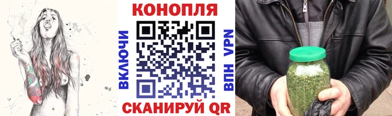 Купить где  Рассказово  Бошки Шишки сатива 